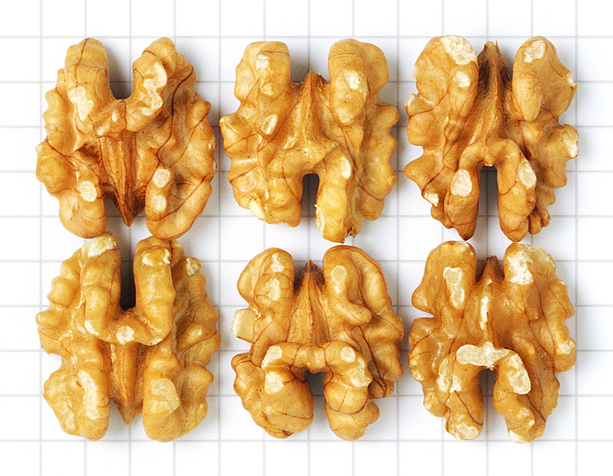 Shelled California Walnuts: Halves (USDA Standard Size)
